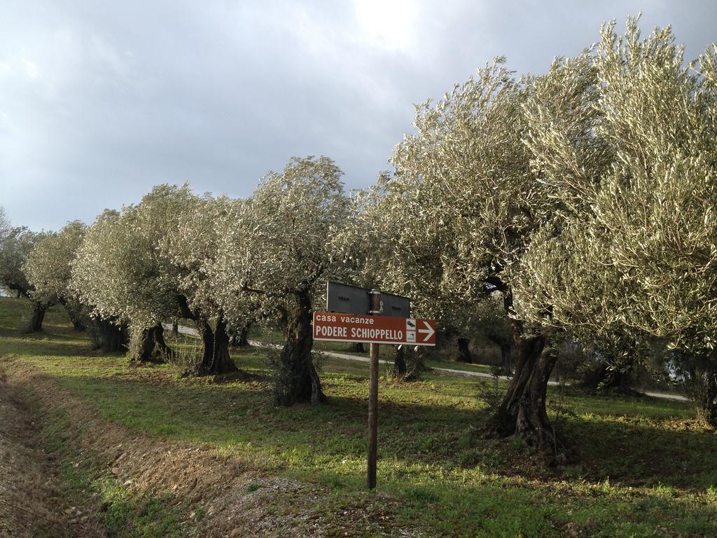 Podere Schioppello Casale Con Appartamenti Privati Cibottola ห้อง รูปภาพ