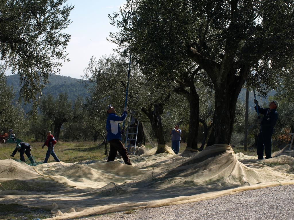 Podere Schioppello Casale Con Appartamenti Privati Cibottola ภายนอก รูปภาพ