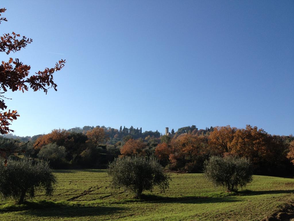 Podere Schioppello Casale Con Appartamenti Privati Cibottola ภายนอก รูปภาพ
