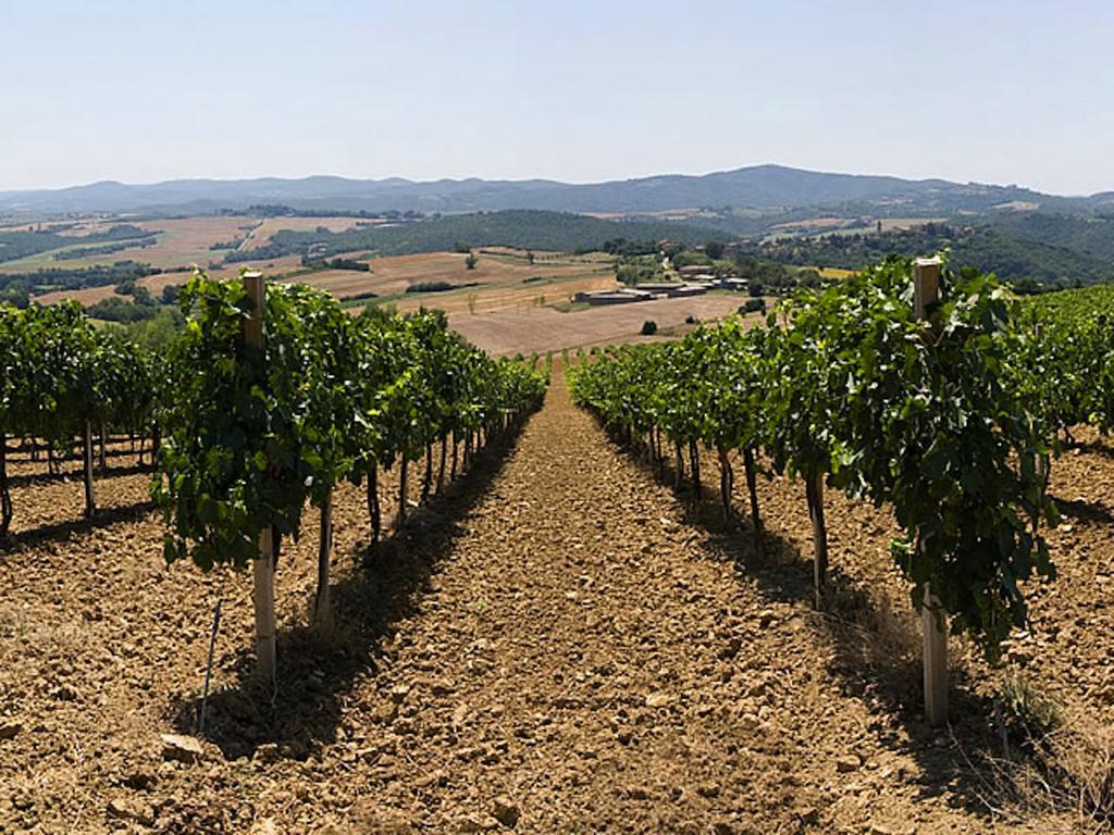 Podere Schioppello Casale Con Appartamenti Privati Cibottola ภายนอก รูปภาพ