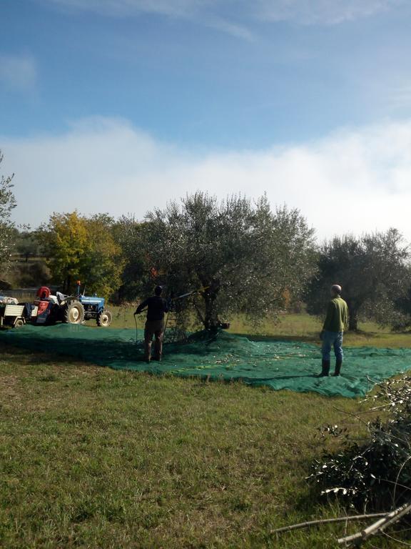 Podere Schioppello Casale Con Appartamenti Privati Cibottola ภายนอก รูปภาพ